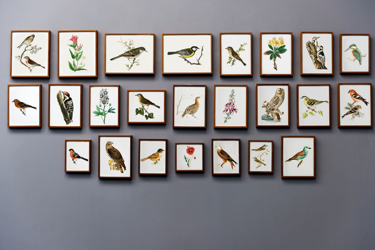 Galería de cuadros con marcos de madera en pared, idea de decoración de interiores con marcos a medida y molduras de Molduras Salas.