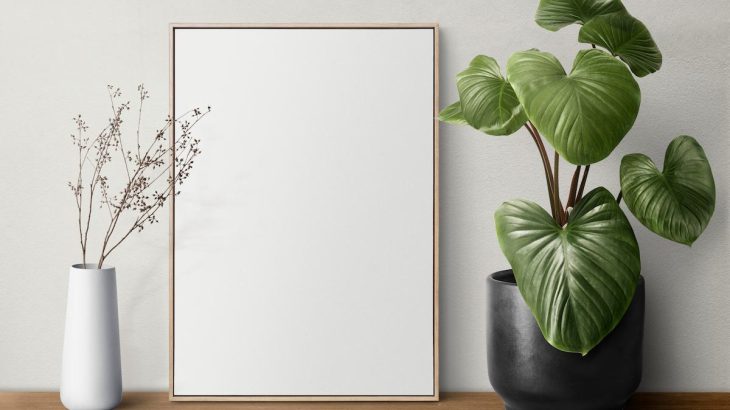 Marco de cuadro sobre estante de madera junto a planta tropical y florero, decoración ideal para casas de playa y proteger cuadros del calor.